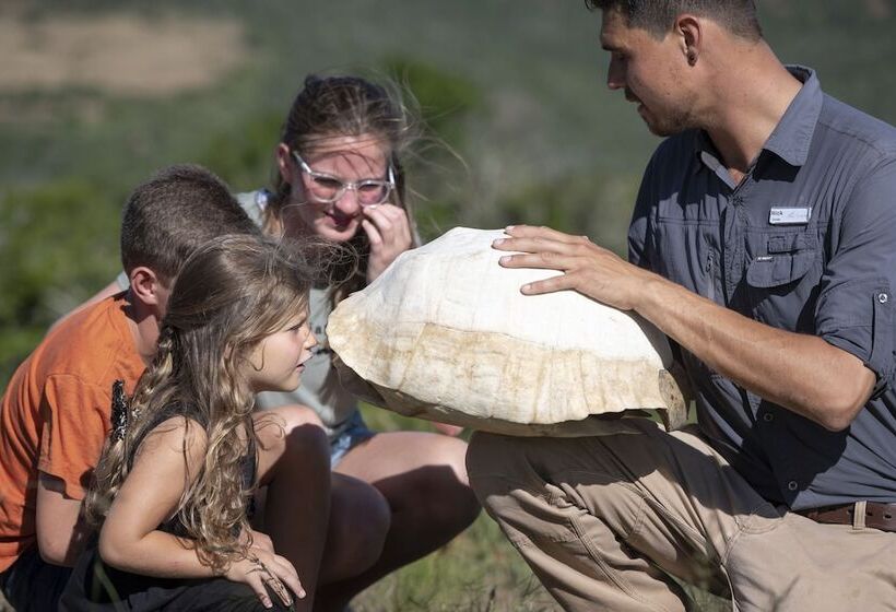 בית מלון כפרי Mantis Founders Lodge
