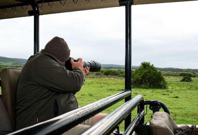 בית מלון כפרי Mantis Founders Lodge