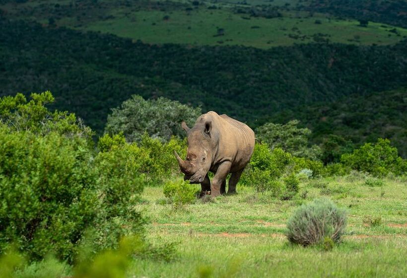 בית מלון כפרי Mantis Founders Lodge