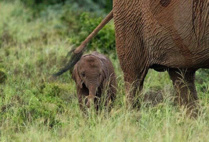בית מלון כפרי Mantis Founders Lodge