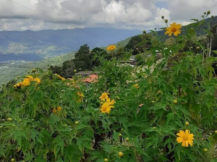 هتل Phu Mok Dok Mai Resort