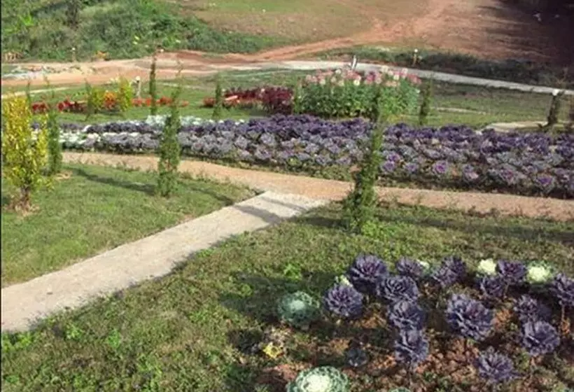 هتل Phu Mok Dok Mai Resort