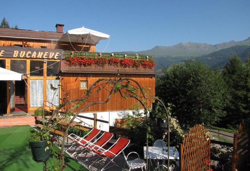 هتل Residence Bucaneve