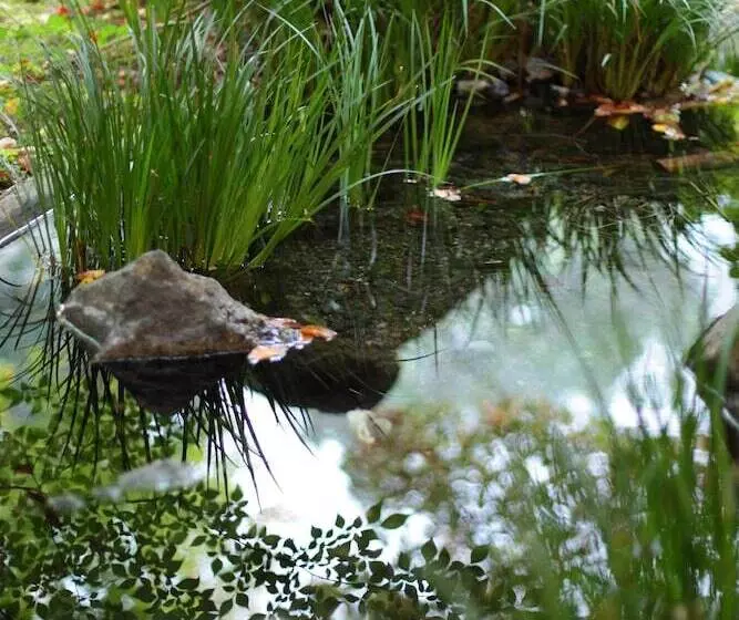 Hotelli Yufuin Onsen Ryokan Mebaeso