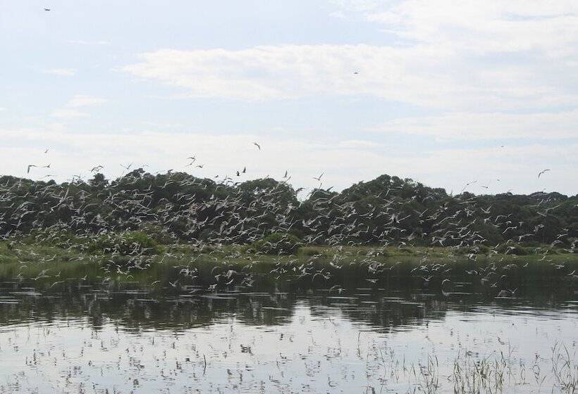 Victoria Forest Resort