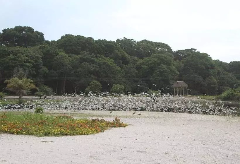 Victoria Forest Resort