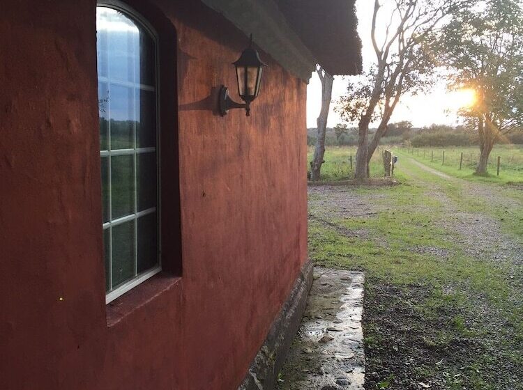 Alsbrogaard Deluxe Bed & Breakfast