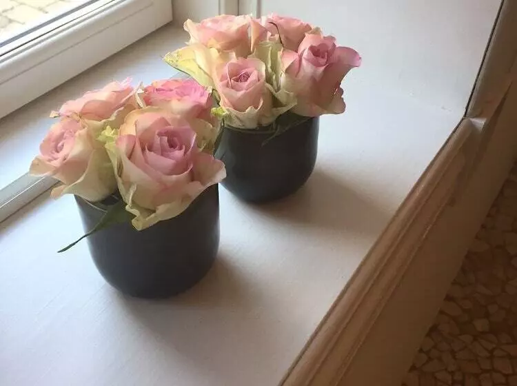 Alsbrogaard Deluxe Bed & Breakfast