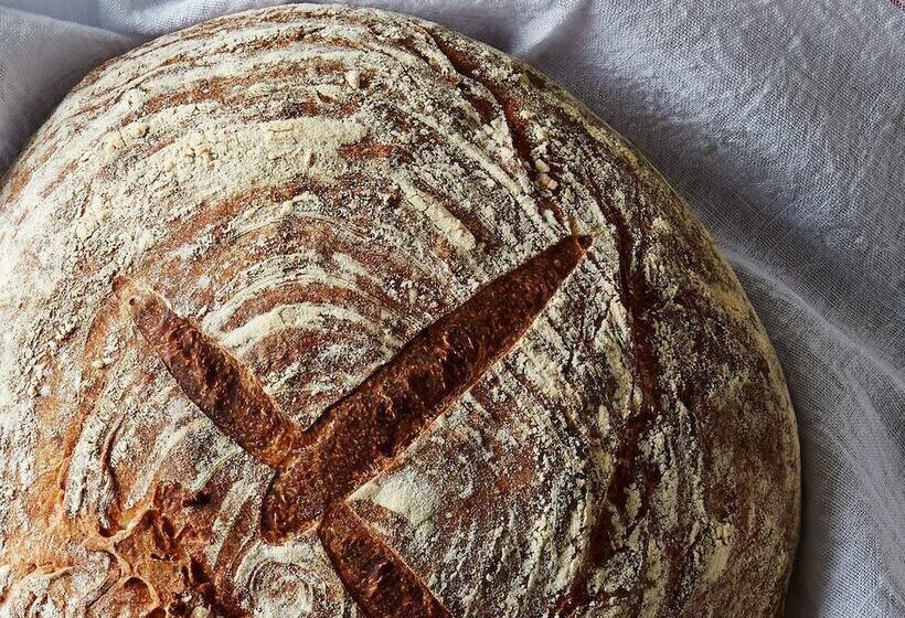 Alsbrogaard Deluxe Bed & Breakfast