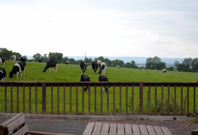 Ballindrum Farm B&b