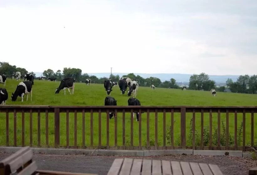 Ballindrum Farm B&b