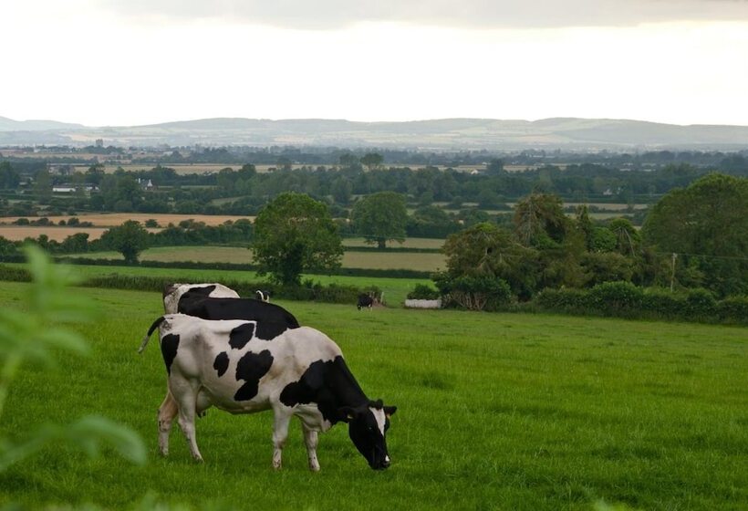 Ballindrum Farm B&b