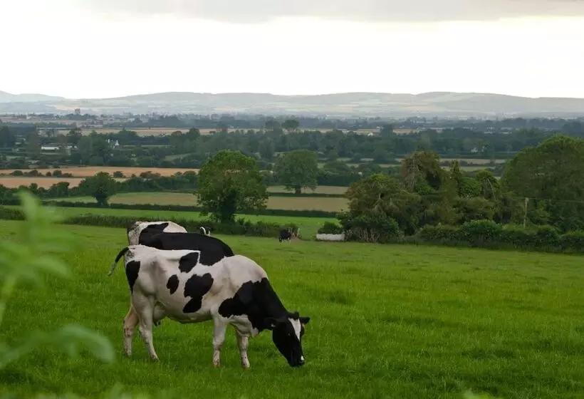 Ballindrum Farm B&b