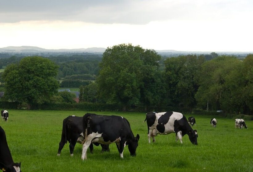 Ballindrum Farm B&b