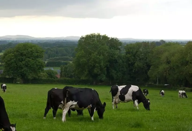 Ballindrum Farm B&b