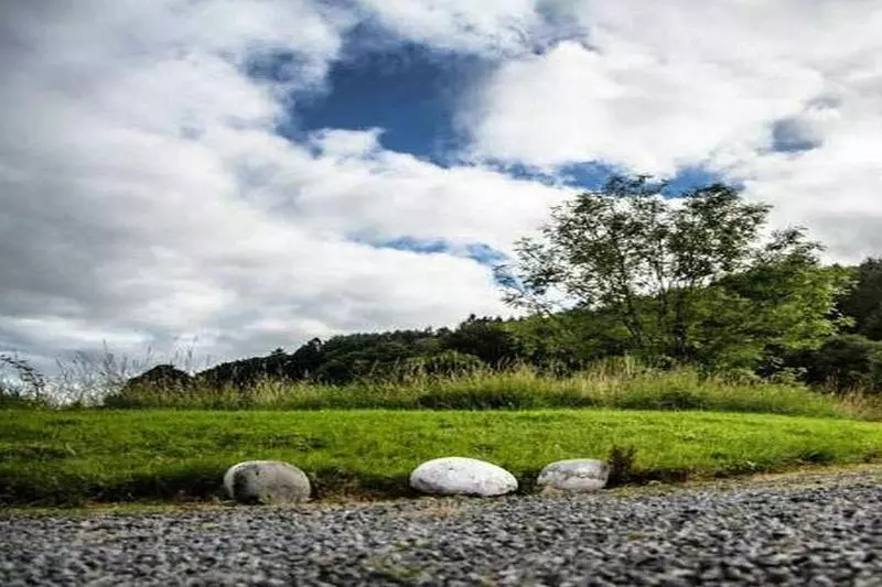 ベッドアンドブレックファースト Corofin Country House