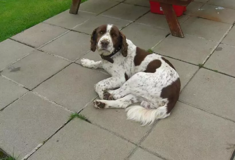 Fortview House Bed & Breakfast