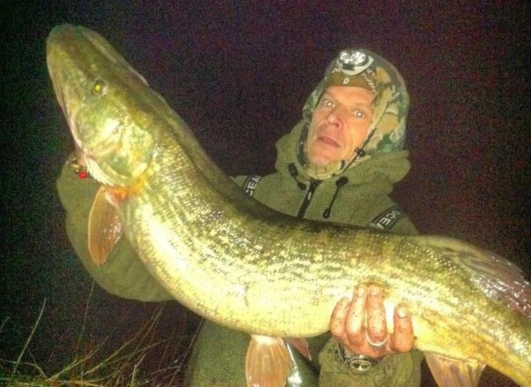 Fortview House Bed & Breakfast