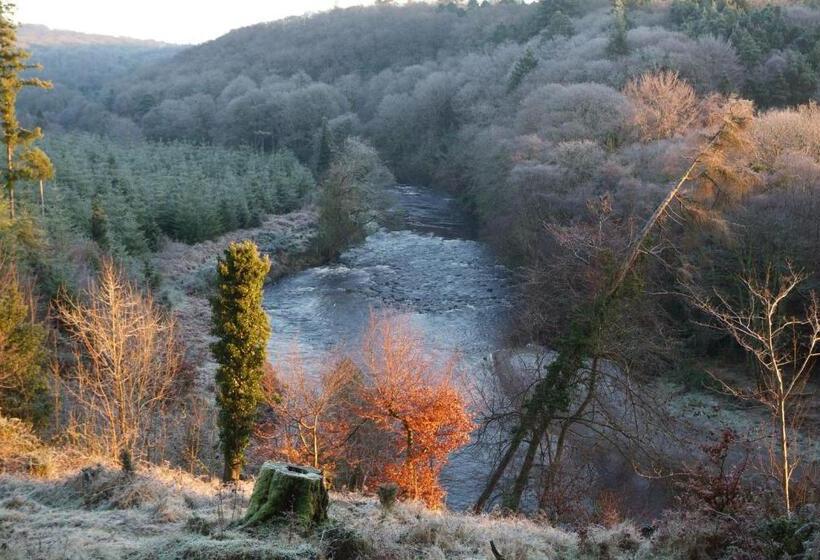 ベッドアンドブレックファースト Lettermore Country Home