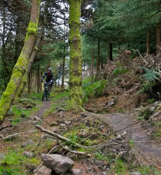 تختخواب و صبحانه The Old Bank Bruff Family Town House
