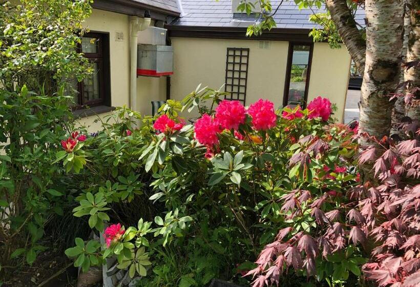 Dunaree Bed And Breakfast