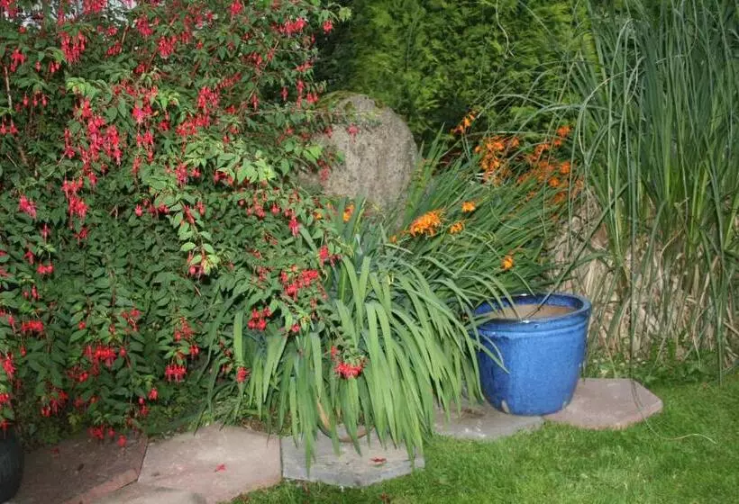 Dunaree Bed And Breakfast