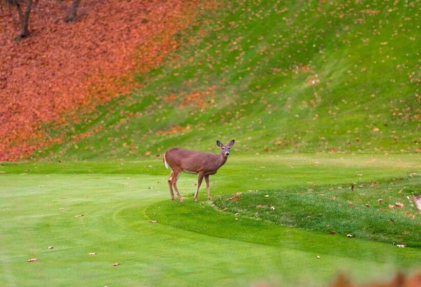 هتل Crown Resorts At Silverwoods