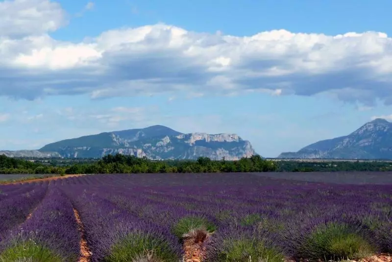 ホテル Résidence Le Domaine Du Thronnet