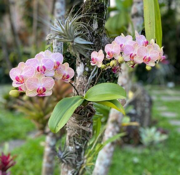 هتل Casa Nostra Boutique