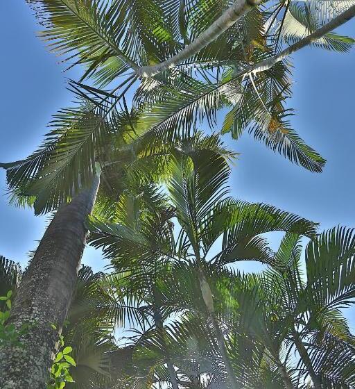 هتل Casa Nostra Boutique