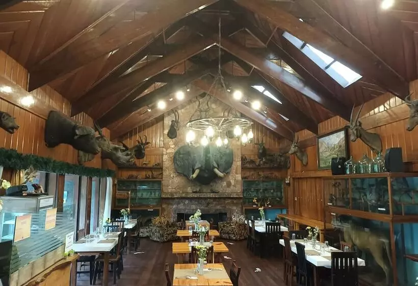 Log Cabin Hotel   Safari Lodge Baguio