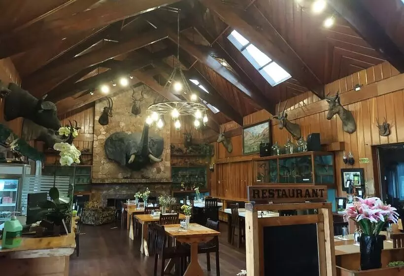 Log Cabin Hotel   Safari Lodge Baguio