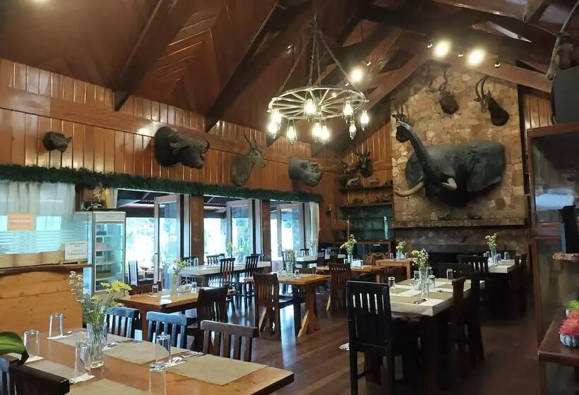 Log Cabin Hotel   Safari Lodge Baguio