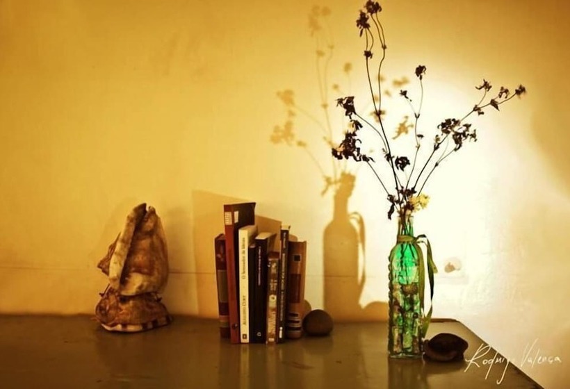 ホテル Pousada Dois Irmãos