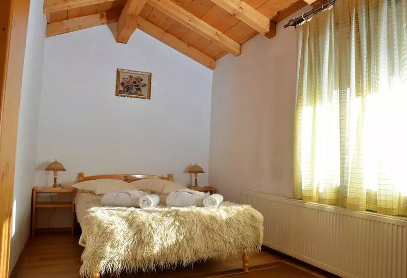 ホテル Trenchova Guest House