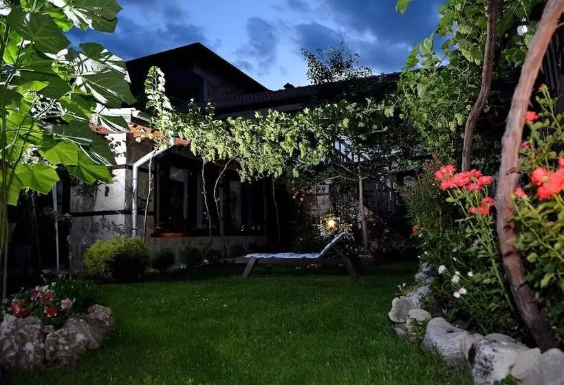 ホテル Trenchova Guest House