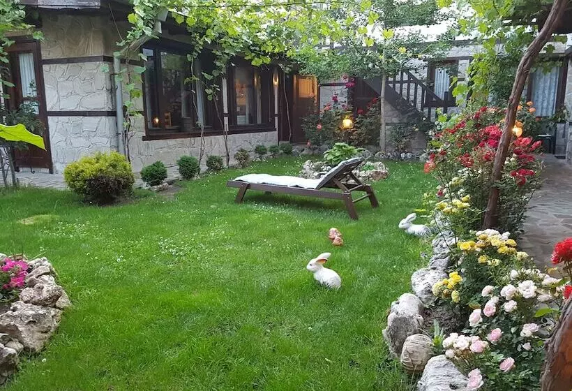 ホテル Trenchova Guest House