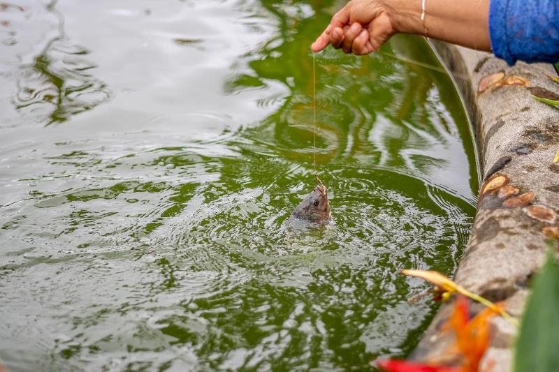 酒店 Aunty Arenal Lodge