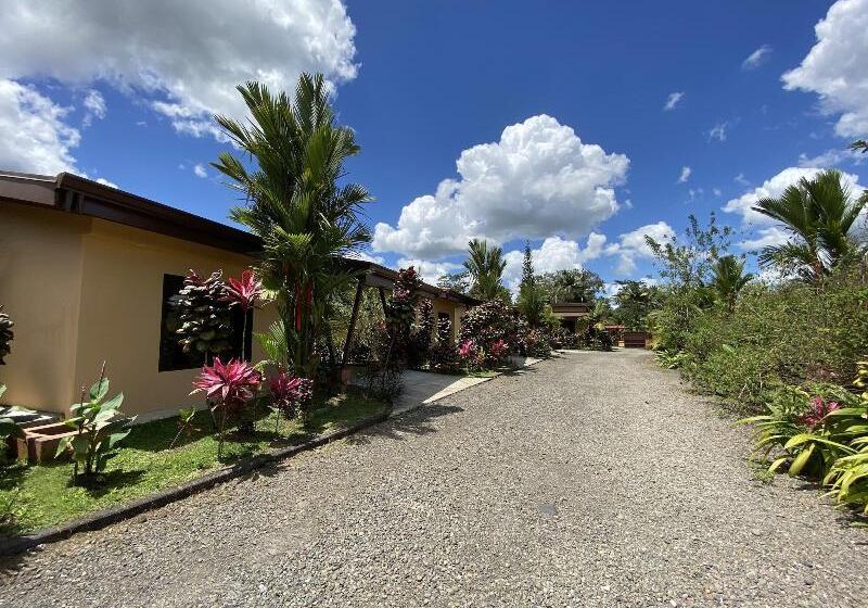 酒店 Aunty Arenal Lodge