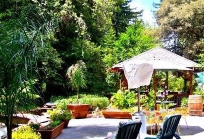 בית מלון כפרי Daisy's Guest House