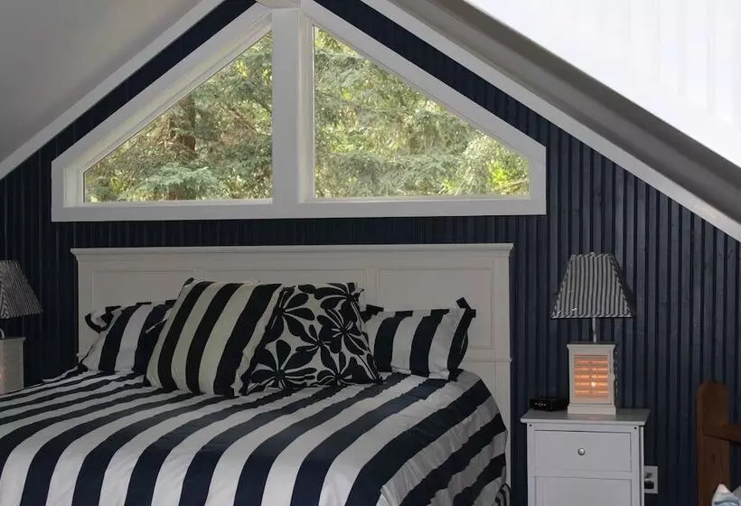 Hotelli Daisy's Guest House