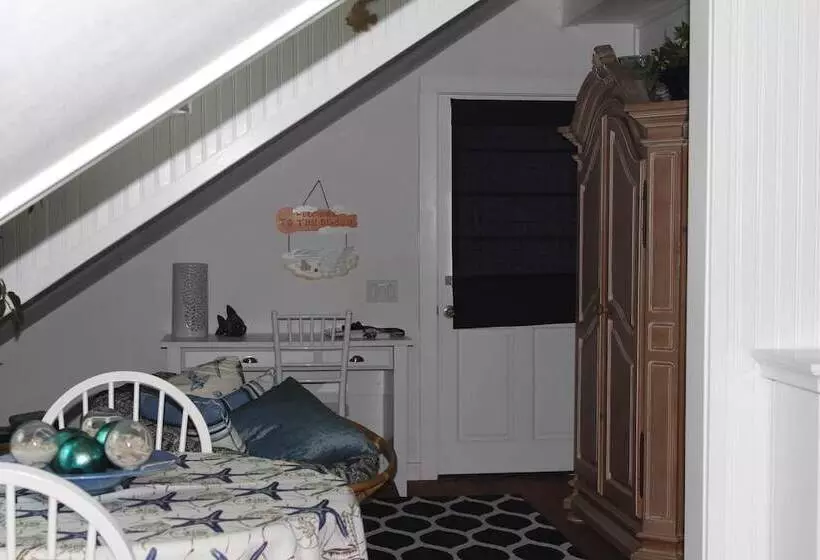 Hotelli Daisy's Guest House