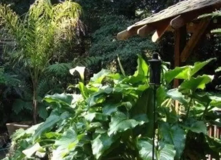 Hotelli Daisy's Guest House