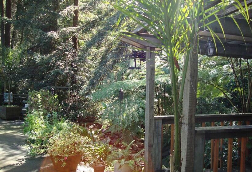 בית מלון כפרי Daisy's Guest House