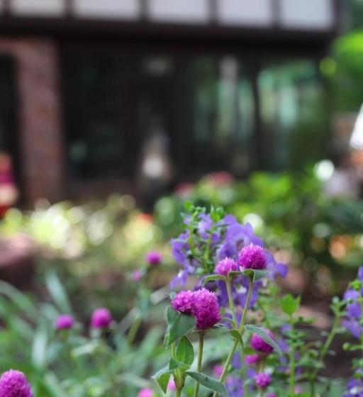 Отель Tudor Oaks Inn