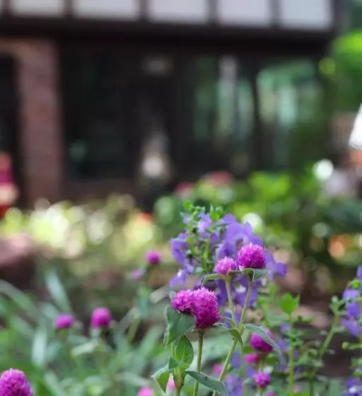 ホテル Tudor Oaks Inn