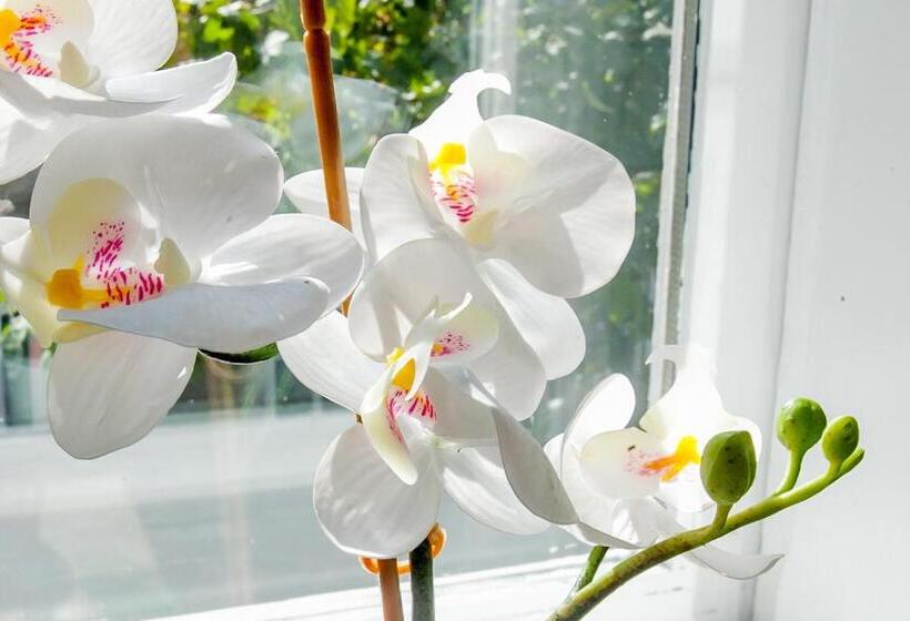 호텔 Zagreb City Vibe Apartments & Rooms