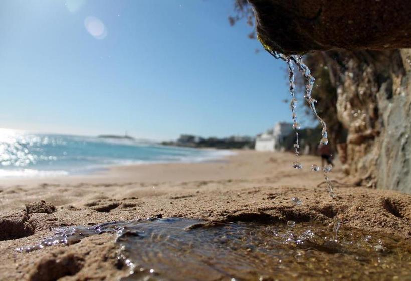 בית מלון כפרי Canos Costa