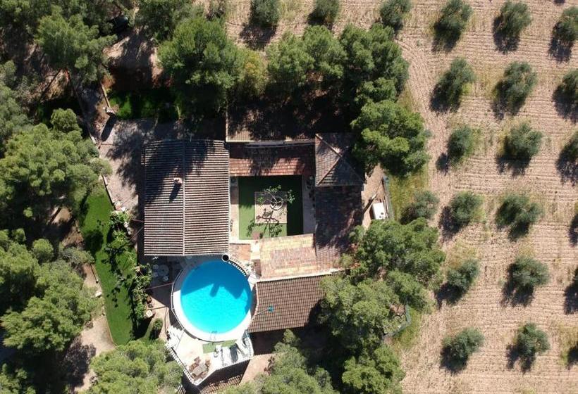 בית מלון כפרי Casa Rural Las Caleras