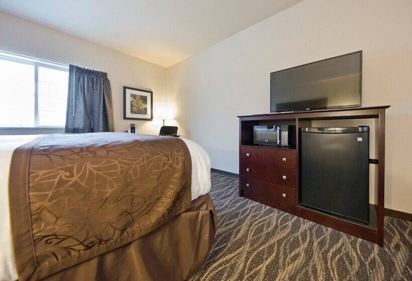 Отель Cobblestone Inn & Suites  Clarinda